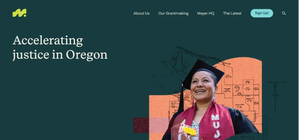 Wordpress website result